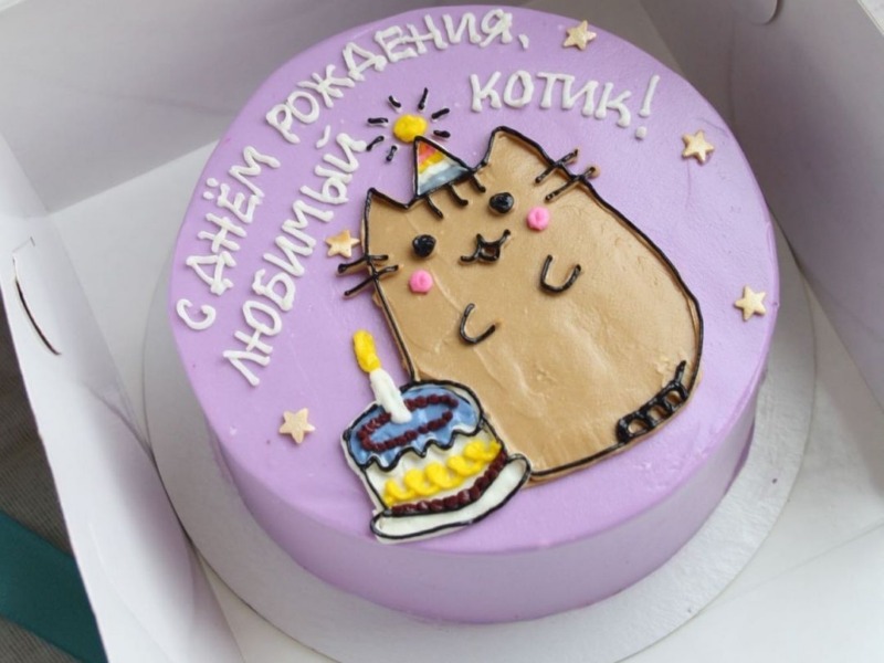Бенто торт - С Днём рождения любимый котик!